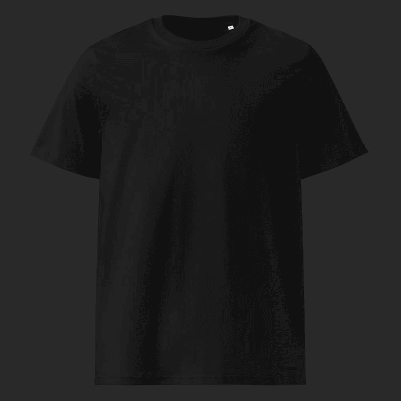 Unisex Organic Cotton T-shirt / Black / XL